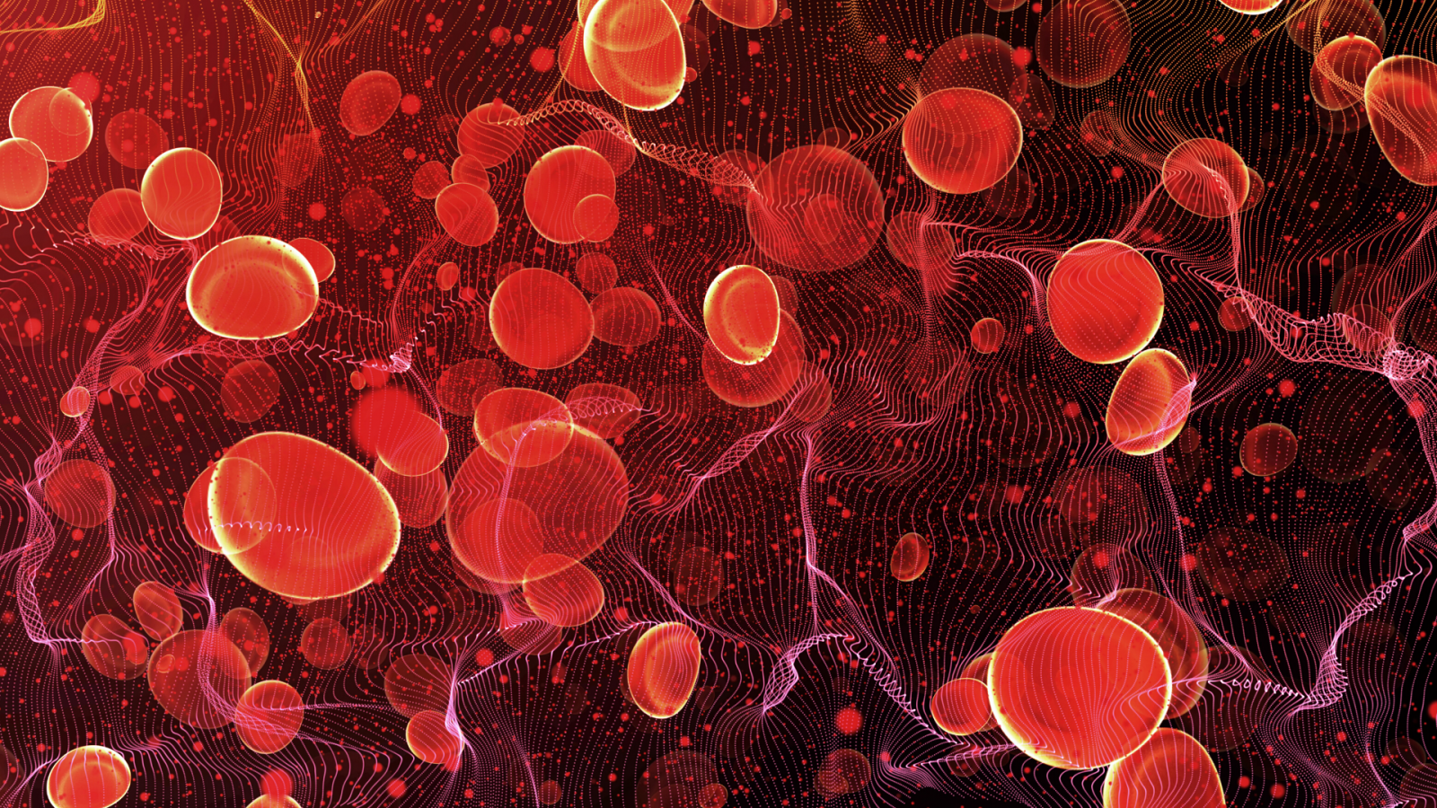 Facts About Blood Cancer 2023
